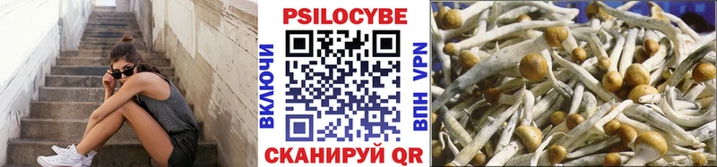 OMG зеркало Белогорск Галлюциногенные грибы ЛСД