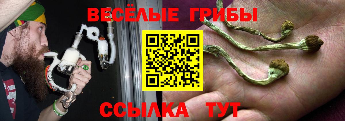 Белогорск  Галлюциногенные грибы Magic Shrooms  где можно купить   Вход с VPN 