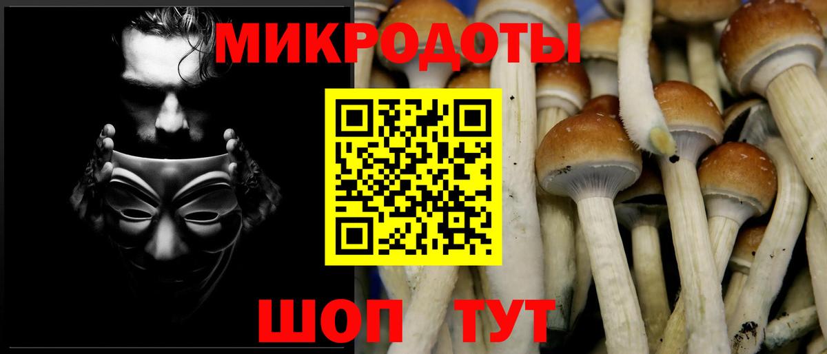 Галлюциногенные грибы GOLDEN TEACHER Белогорск